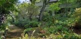 266 W Blithedale Ave 15